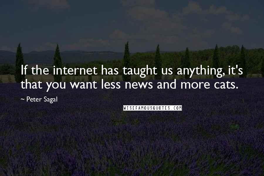 Peter Sagal quotes: If the internet has taught us anything, it's that you want less news and more cats.