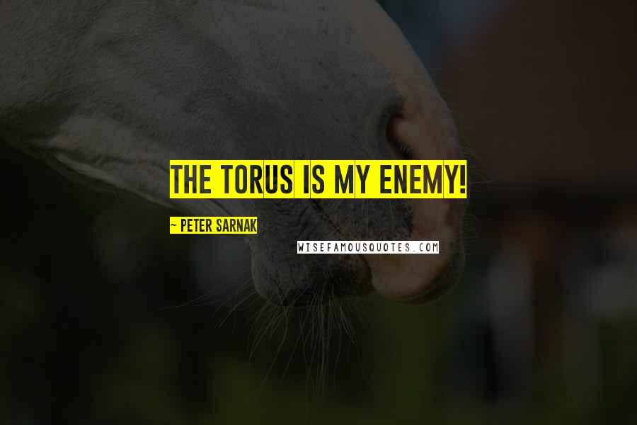 Peter Sarnak quotes: The Torus is my enemy!