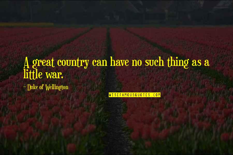 Peter Schweizer Quotes By Duke Of Wellington: A great country can have no such thing