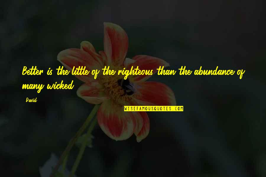 Peter Senge Fifth Discipline Quotes By David: Better is the little of the righteous than
