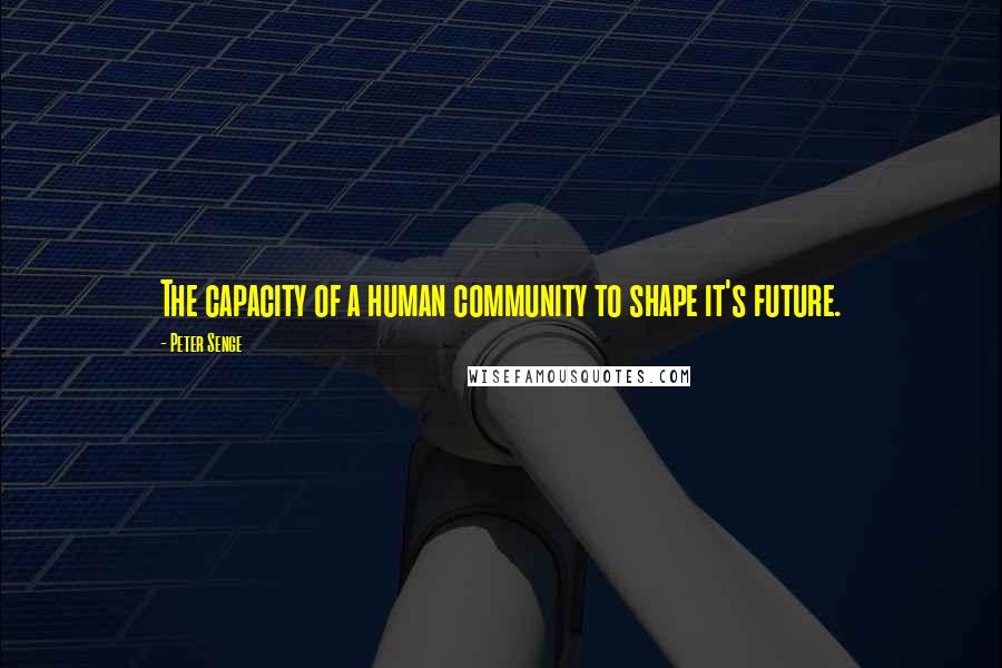 Peter Senge quotes: The capacity of a human community to shape it's future.