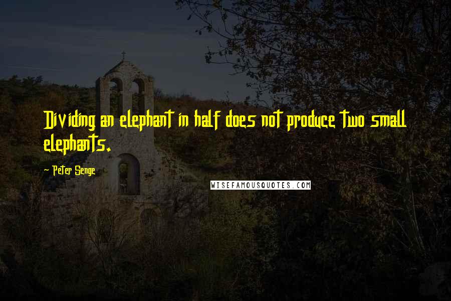 Peter Senge quotes: Dividing an elephant in half does not produce two small elephants.