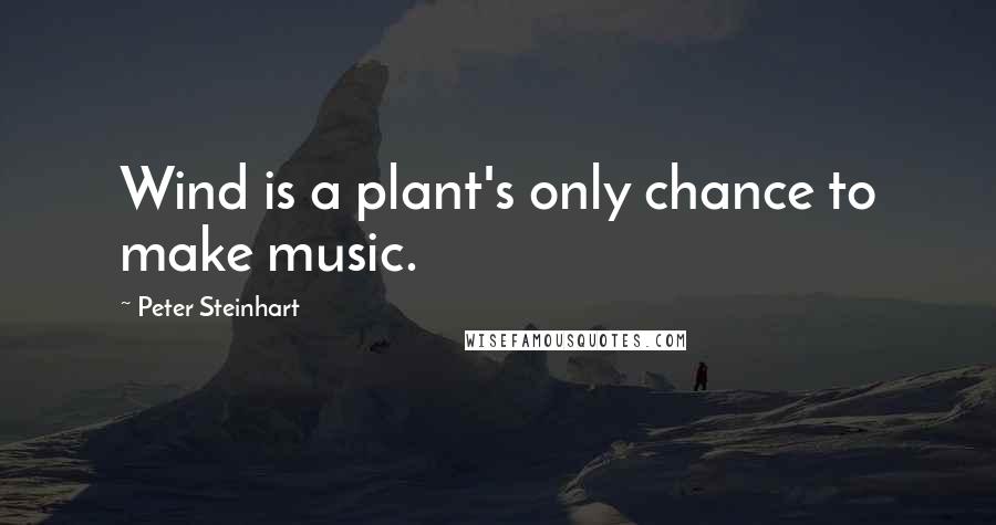 Peter Steinhart quotes: Wind is a plant's only chance to make music.