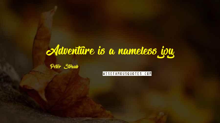 Peter Straub quotes: Adventure is a nameless joy