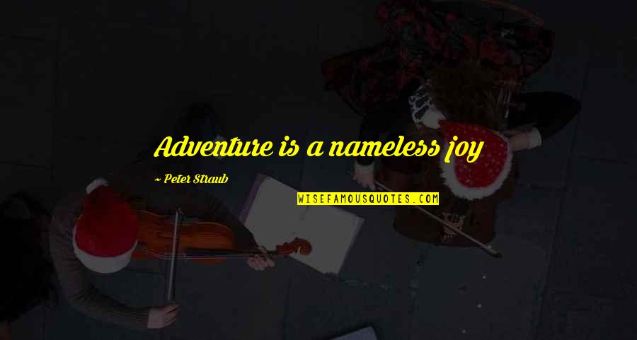 Peter Straub Quotes By Peter Straub: Adventure is a nameless joy
