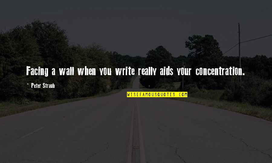 Peter Straub Quotes By Peter Straub: Facing a wall when you write really aids