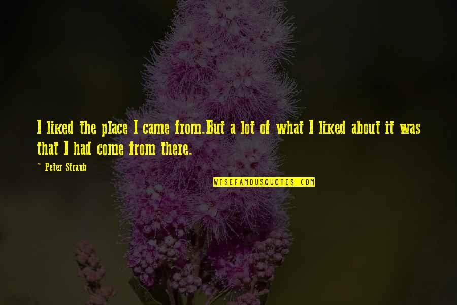 Peter Straub Quotes By Peter Straub: I liked the place I came from.But a