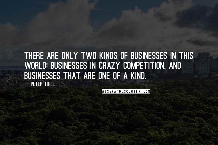 Peter Thiel quotes: There are only two kinds of businesses in this world: Businesses in crazy competition, and businesses that are one of a kind.