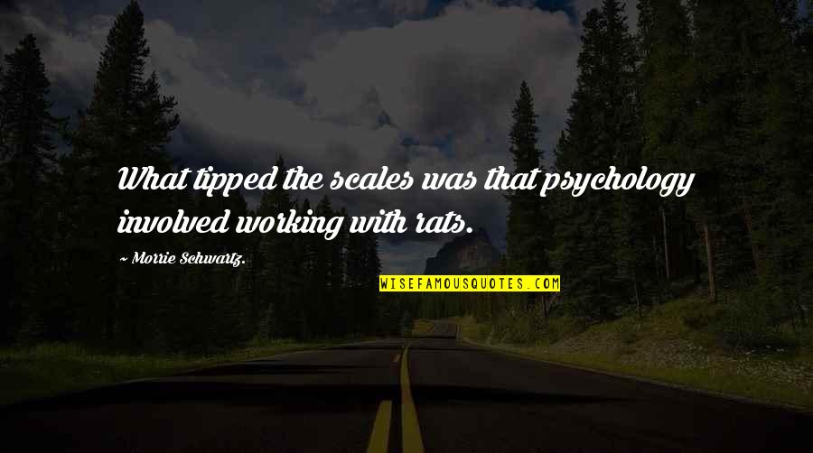 Peter Tingle Quotes By Morrie Schwartz.: What tipped the scales was that psychology involved