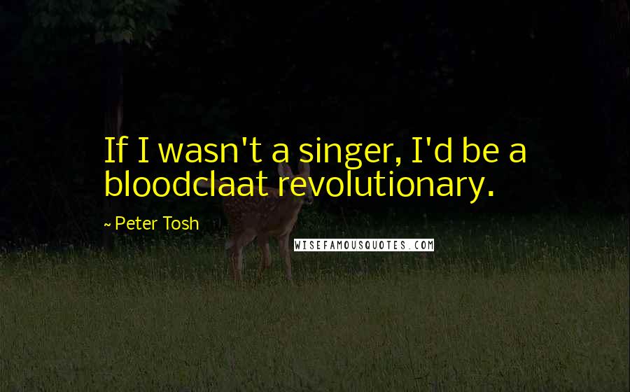 Peter Tosh quotes: If I wasn't a singer, I'd be a bloodclaat revolutionary.
