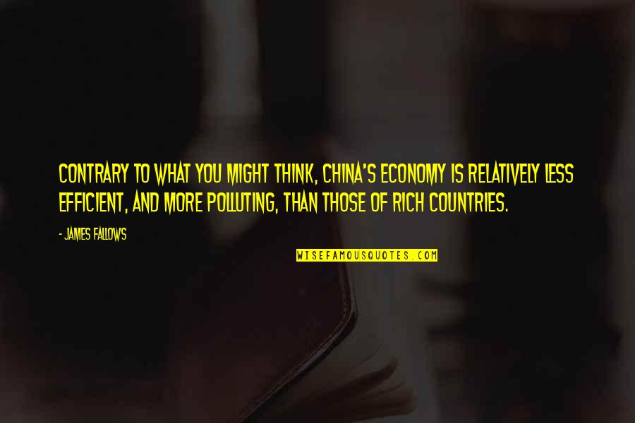 Peter Walsh Organization Quotes By James Fallows: Contrary to what you might think, China's economy