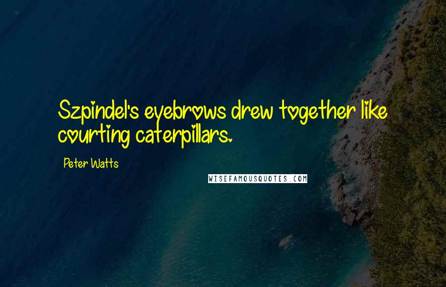 Peter Watts quotes: Szpindel's eyebrows drew together like courting caterpillars.