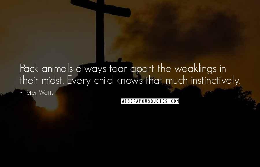 Peter Watts quotes: Pack animals always tear apart the weaklings in their midst. Every child knows that much instinctively. Peter Watts quotes: Pack animals always tear apart the weaklings in their midst. Every child knows that much instinctively.