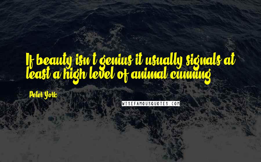 Peter York quotes: If beauty isn't genius it usually signals at least a high level of animal cunning.