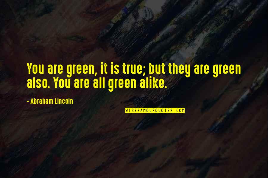Peterborough Taxi Quotes By Abraham Lincoln: You are green, it is true; but they