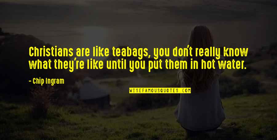 Peterhoff Restaurant Quotes By Chip Ingram: Christians are like teabags, you don't really know