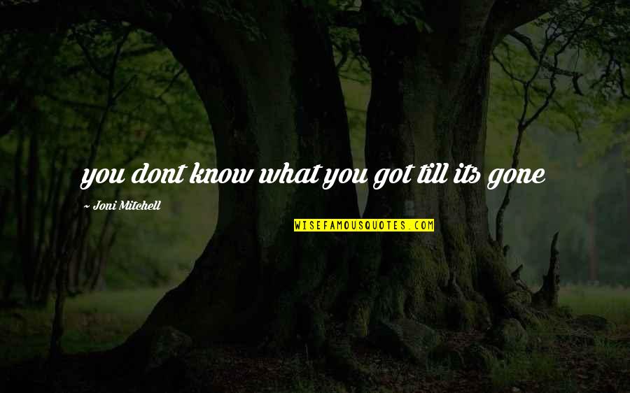 Petits Garden Quotes By Joni Mitchell: you dont know what you got till its Petits Garden Quotes By Joni Mitchell: you dont know what you got till its