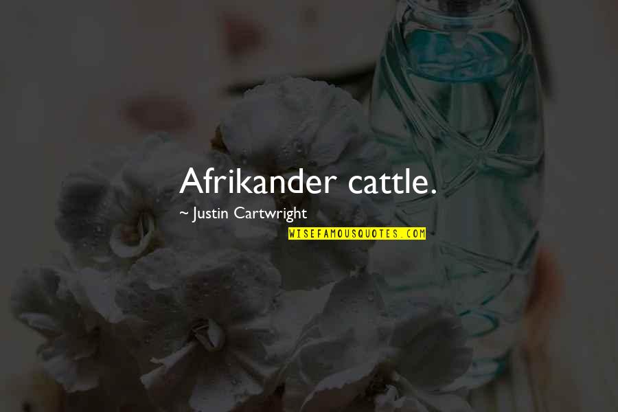 Petr4 Quotes By Justin Cartwright: Afrikander cattle.