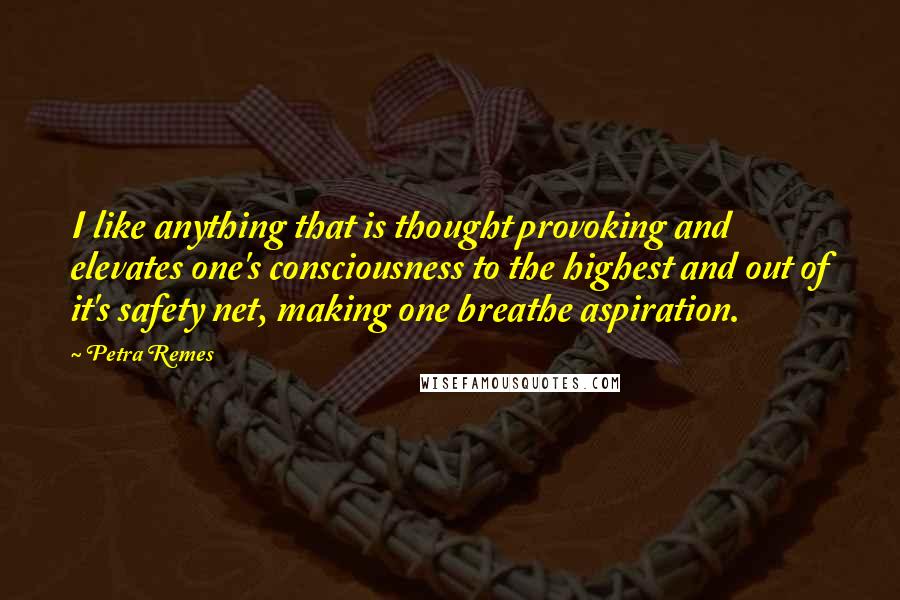 Petra Remes quotes: I like anything that is thought provoking and elevates one's consciousness to the highest and out of it's safety net, making one breathe aspiration.