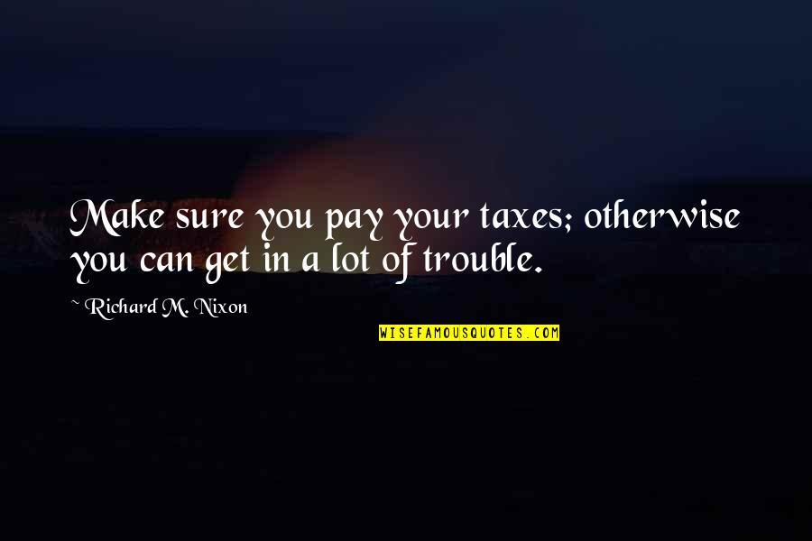 Petraeus's Quotes By Richard M. Nixon: Make sure you pay your taxes; otherwise you