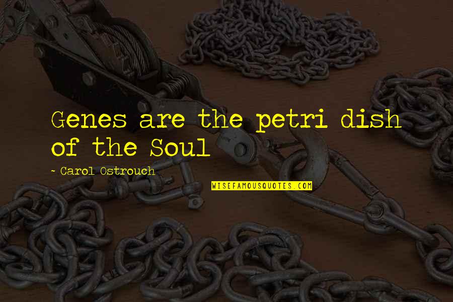 Petri Dish Quotes By Carol Ostrouch: Genes are the petri dish of the Soul