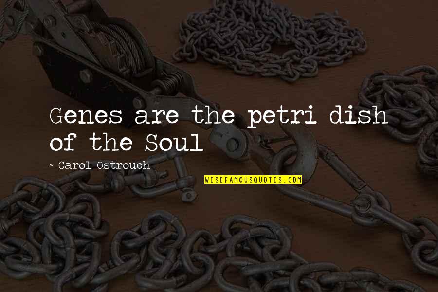 Petri Quotes By Carol Ostrouch: Genes are the petri dish of the Soul