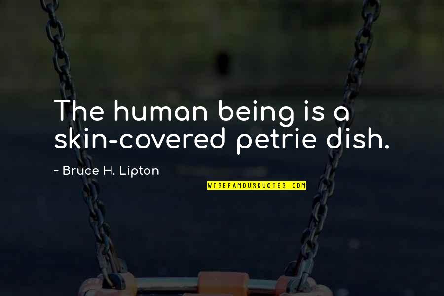 Petrie Quotes By Bruce H. Lipton: The human being is a skin-covered petrie dish.