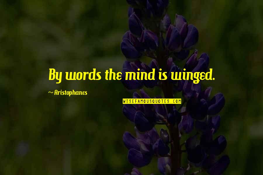 Petrification Permineralization Quotes By Aristophanes: By words the mind is winged.