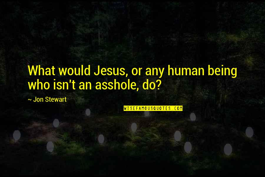 Petrol Pump Wisdom Quotes By Jon Stewart: What would Jesus, or any human being who