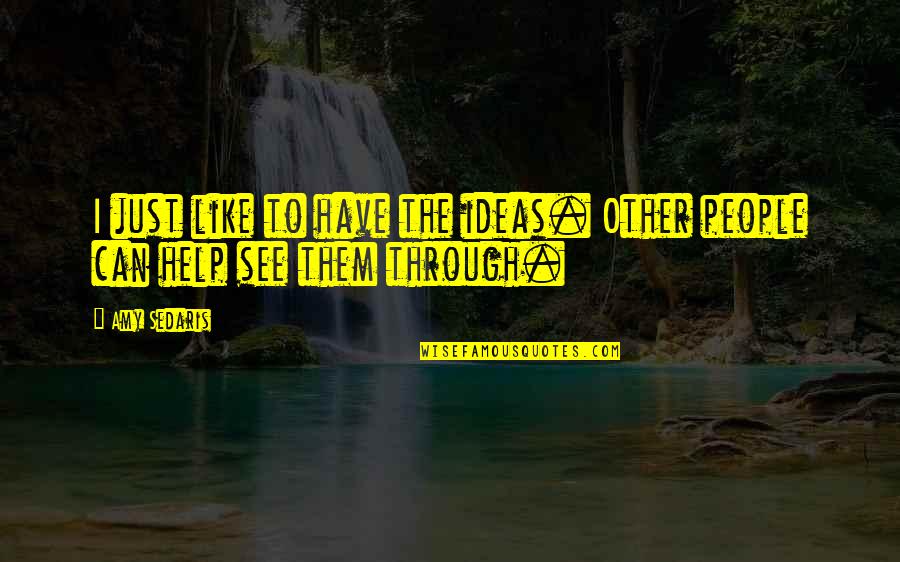 Petronijevic Prunedale Quotes By Amy Sedaris: I just like to have the ideas. Other