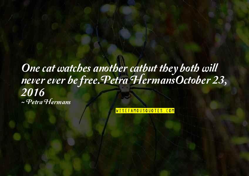 Petroulakis Nikos Quotes By Petra Hermans: One cat watches another catbut they both will