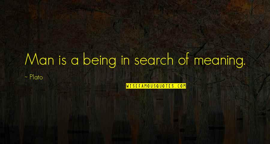 Pettengells Quotes By Plato: Man is a being in search of meaning.