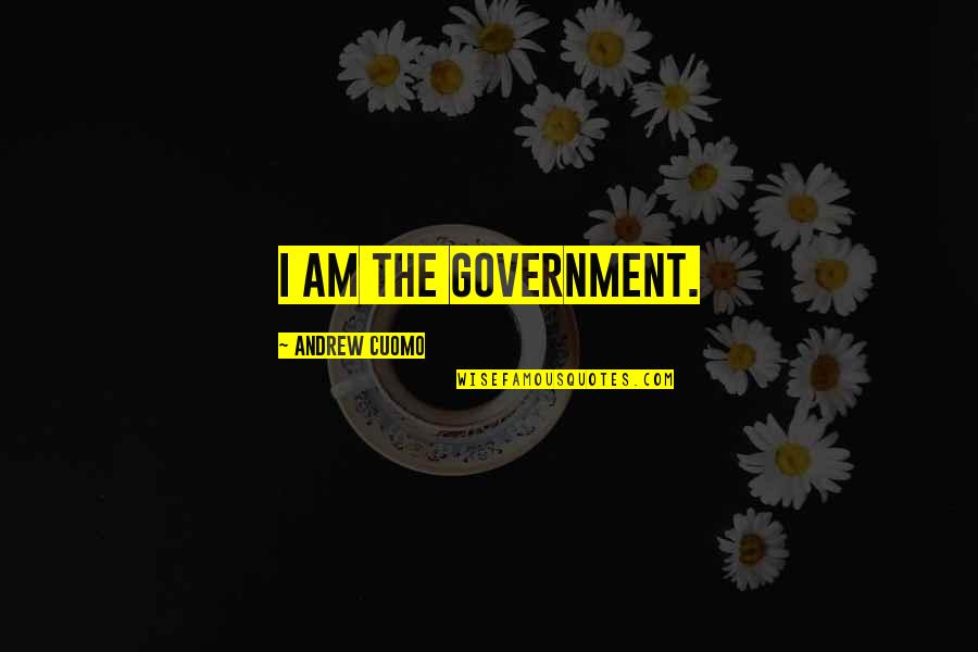 Pettitties Quotes By Andrew Cuomo: I am the government. Pettitties Quotes By Andrew Cuomo: I am the government.