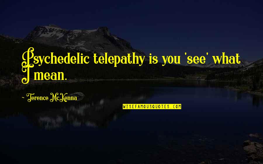 Peygamberlerin Quotes By Terence McKenna: Psychedelic telepathy is you 'see' what I mean.