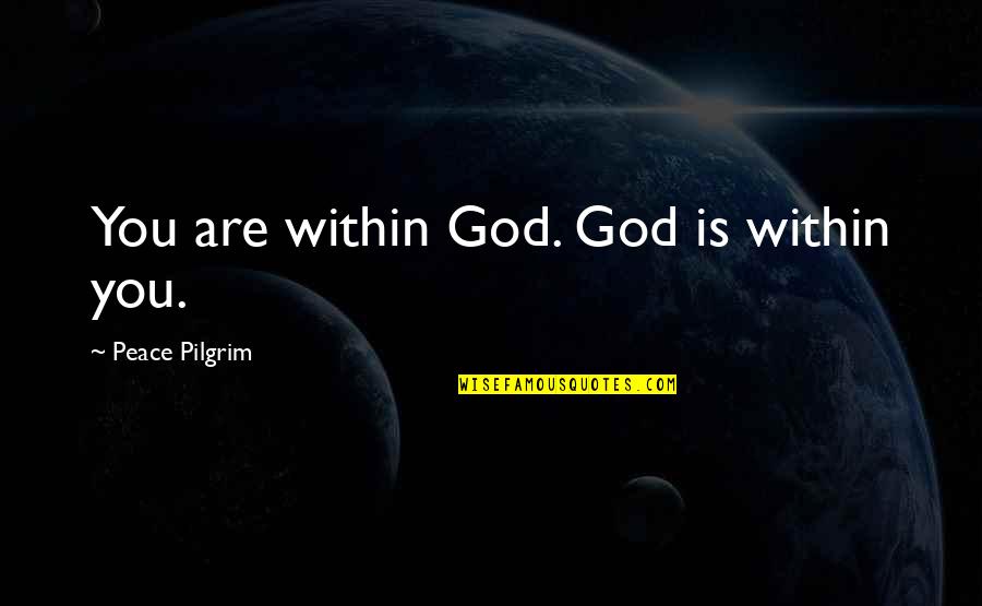 Peyton Sawyer Funny Quotes By Peace Pilgrim: You are within God. God is within you.