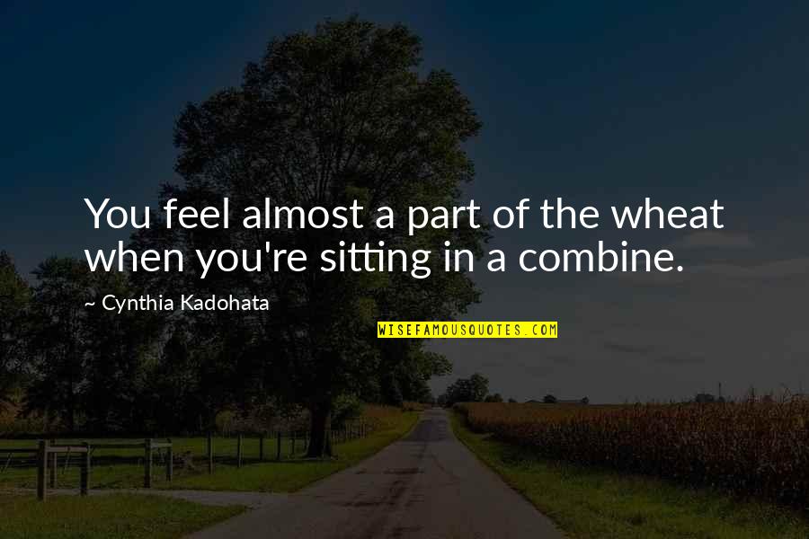 Pezzutti Group Quotes By Cynthia Kadohata: You feel almost a part of the wheat Pezzutti Group Quotes By Cynthia Kadohata: You feel almost a part of the wheat