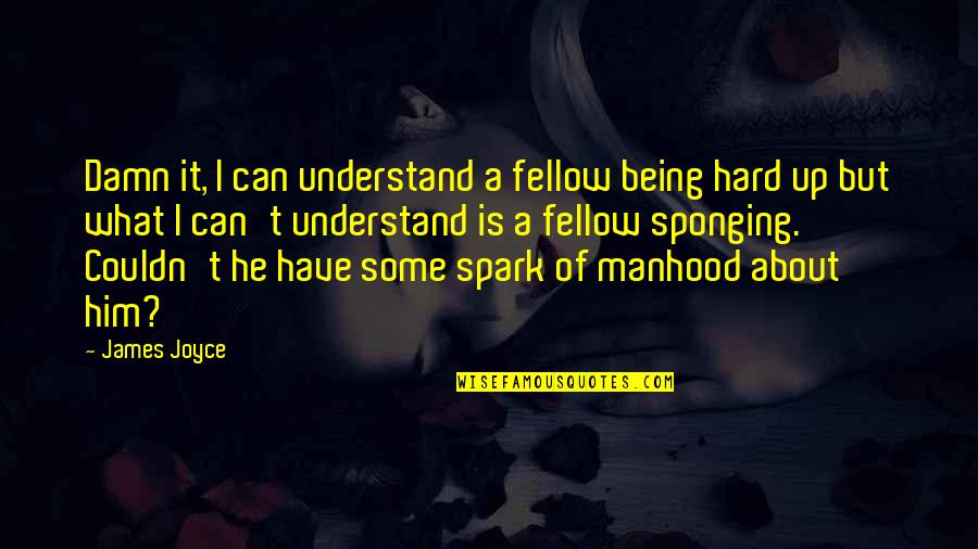 Pf Chang Quotes By James Joyce: Damn it, I can understand a fellow being Pf Chang Quotes By James Joyce: Damn it, I can understand a fellow being