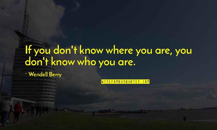 Pfening Snyder Quotes By Wendell Berry: If you don't know where you are, you
