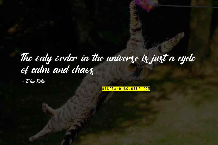 Pfenninger Sealcoating Quotes By Toba Beta: The only order in the universe is just