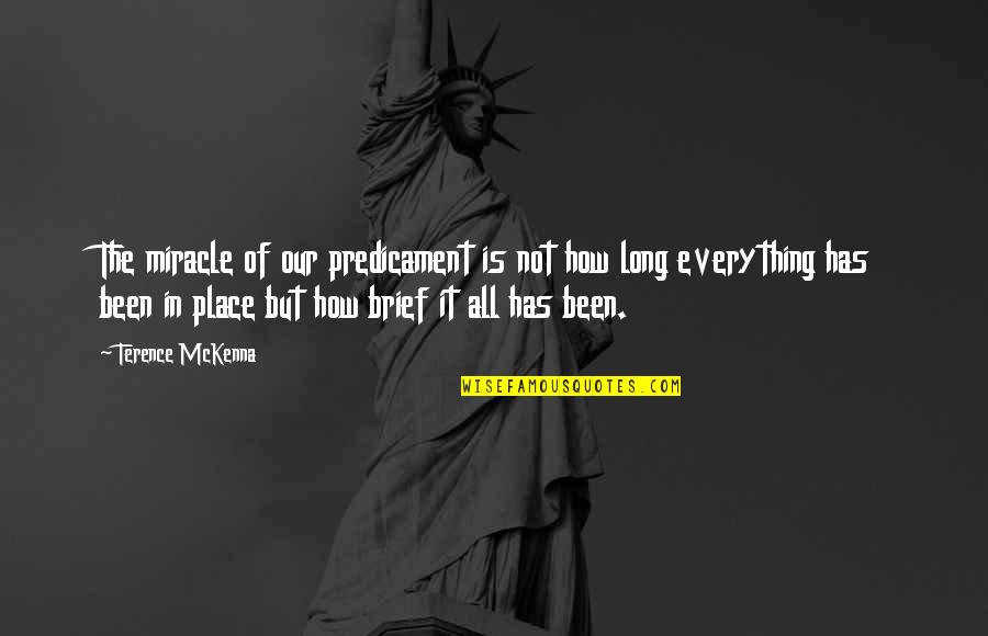 Pflp Quotes By Terence McKenna: The miracle of our predicament is not how