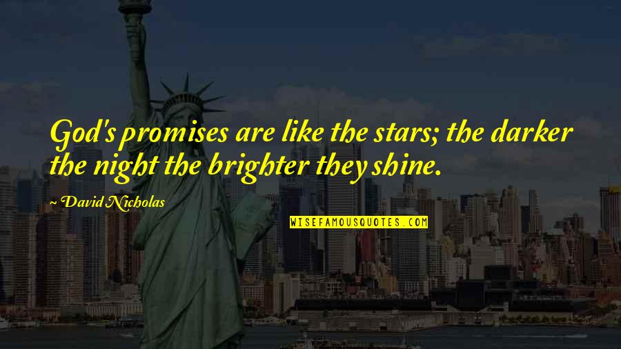 Pfotenhilfe Quotes By David Nicholas: God's promises are like the stars; the darker