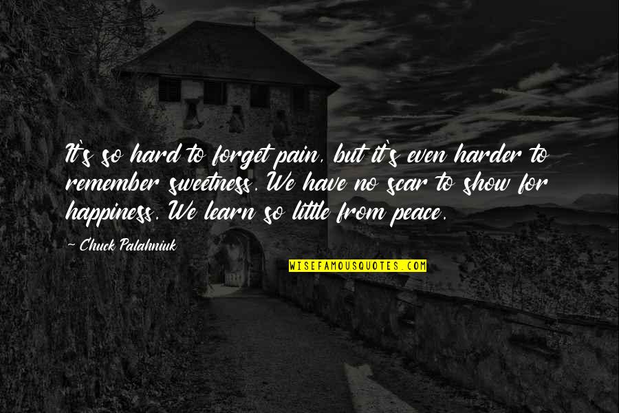 Pg 94 Quotes By Chuck Palahniuk: It's so hard to forget pain, but it's