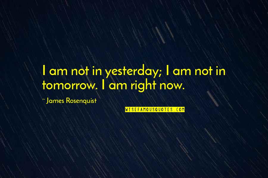 Pg1730ba28 Quotes By James Rosenquist: I am not in yesterday; I am not Pg1730ba28 Quotes By James Rosenquist: I am not in yesterday; I am not