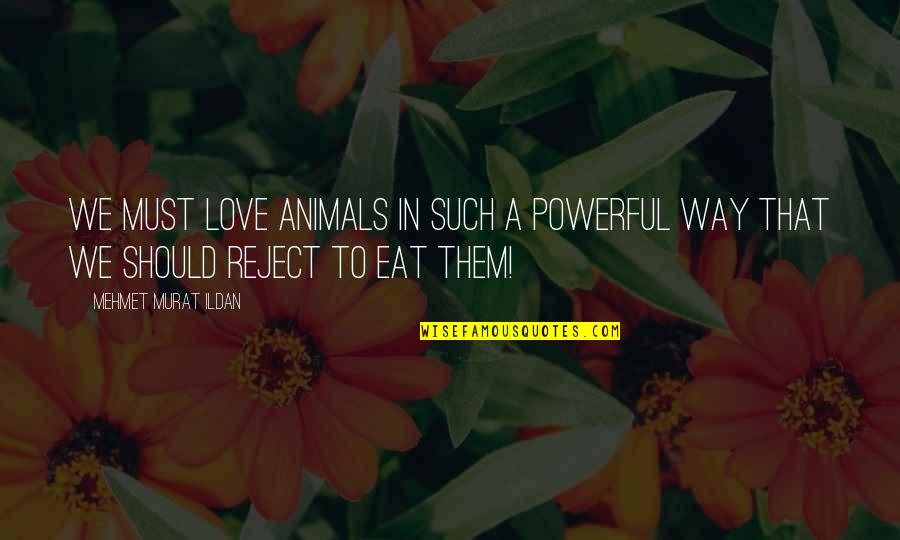 Pg1730ba28 Quotes By Mehmet Murat Ildan: We must love animals in such a powerful Pg1730ba28 Quotes By Mehmet Murat Ildan: We must love animals in such a powerful