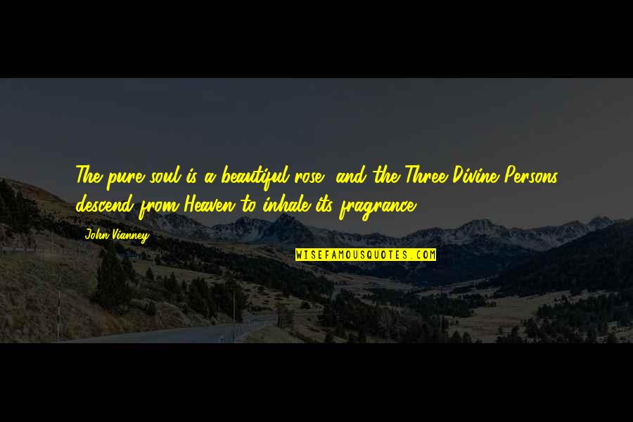 Pg1730hh0009 Quotes By John Vianney: The pure soul is a beautiful rose, and Pg1730hh0009 Quotes By John Vianney: The pure soul is a beautiful rose, and