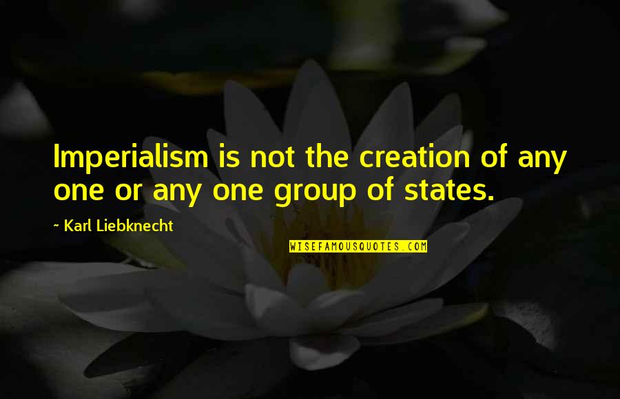 Phafle Quotes By Karl Liebknecht: Imperialism is not the creation of any one