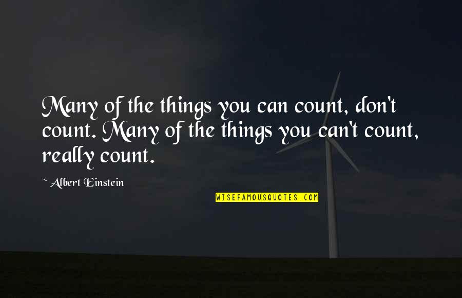 Phallel Quotes By Albert Einstein: Many of the things you can count, don't