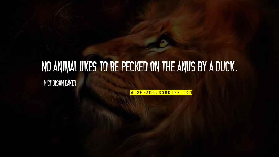Phalloidin Live Cells Quotes By Nicholson Baker: No animal likes to be pecked on the Phalloidin Live Cells Quotes By Nicholson Baker: No animal likes to be pecked on the