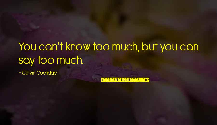 Phalon Fox Quotes By Calvin Coolidge: You can't know too much, but you can Phalon Fox Quotes By Calvin Coolidge: You can't know too much, but you can
