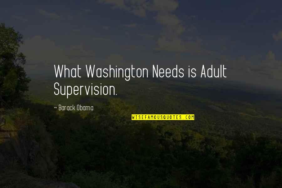 Phantom 2040 Quotes By Barack Obama: What Washington Needs is Adult Supervision.